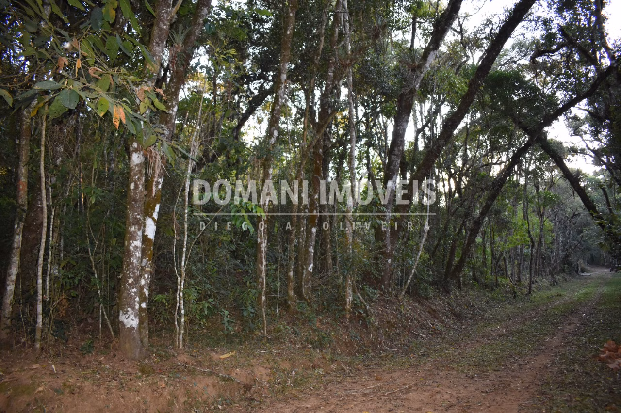 Terreno de 1.100 m² em Campos do Jordão, SP