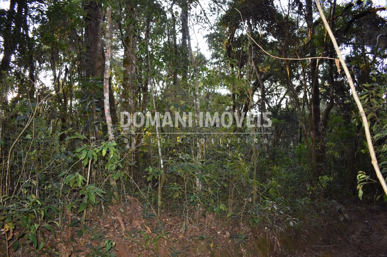 Terreno de 1.100 m² em Campos do Jordão, SP