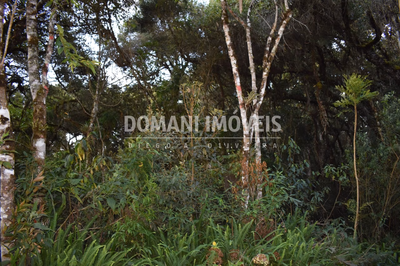 Terreno de 1.100 m² em Campos do Jordão, SP
