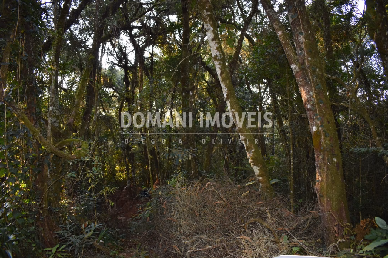 Terreno de 1.100 m² em Campos do Jordão, SP
