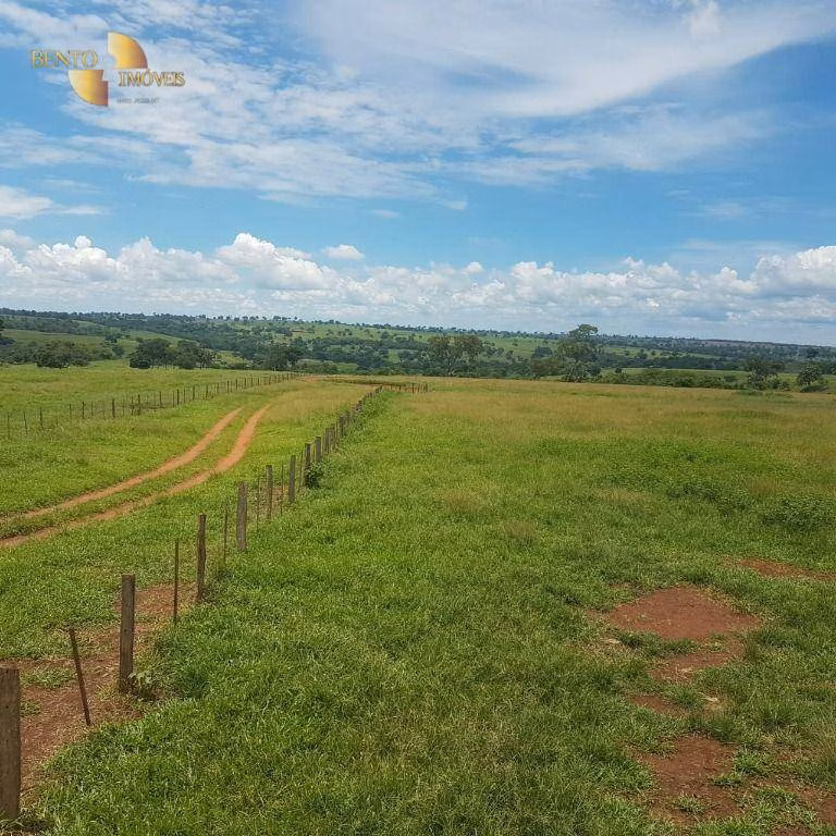Fazenda de 4.250 ha em Rondonópolis, MT