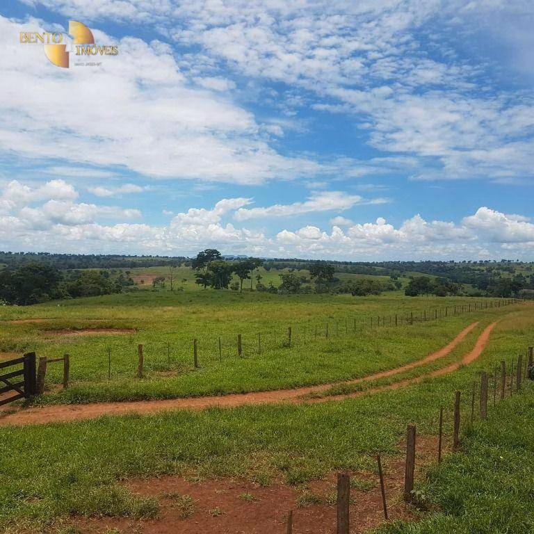 Fazenda de 4.250 ha em Rondonópolis, MT