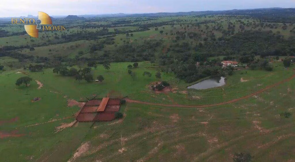 Fazenda de 4.250 ha em Rondonópolis, MT