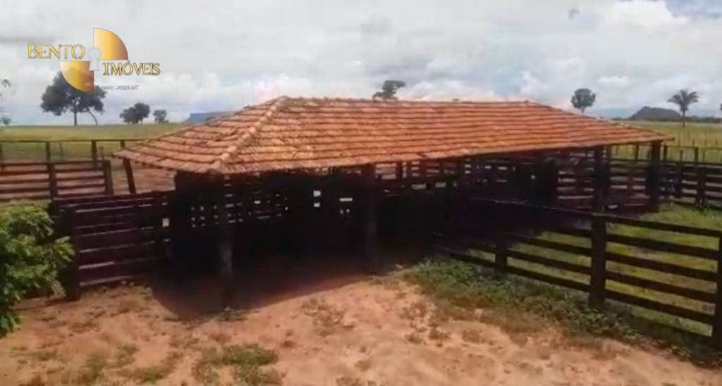 Fazenda de 4.250 ha em Rondonópolis, MT