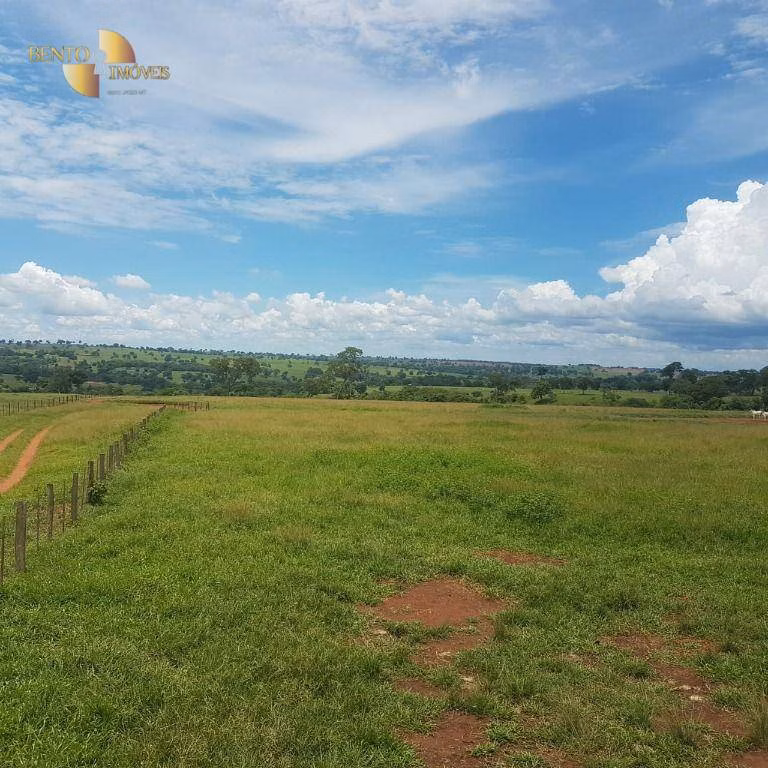 Fazenda de 4.250 ha em Rondonópolis, MT