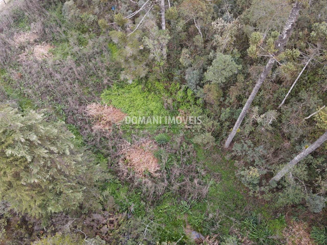 Terreno de 2 ha em Campos do Jordão, SP