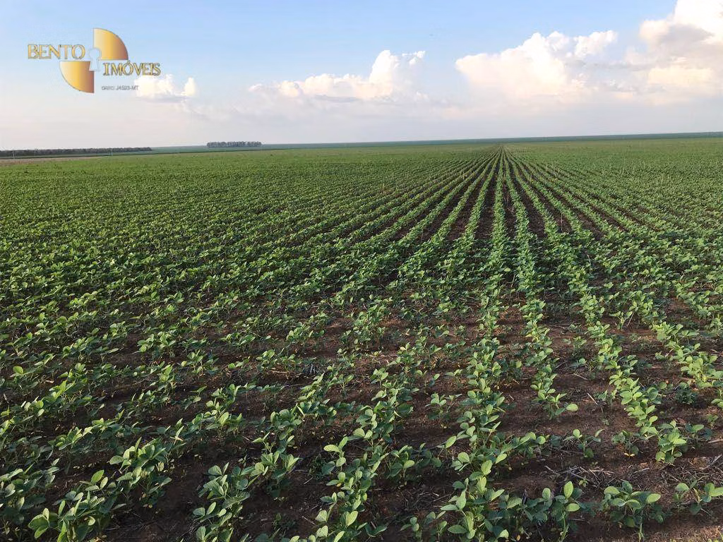 Fazenda de 1.800 ha em Balsas, MA