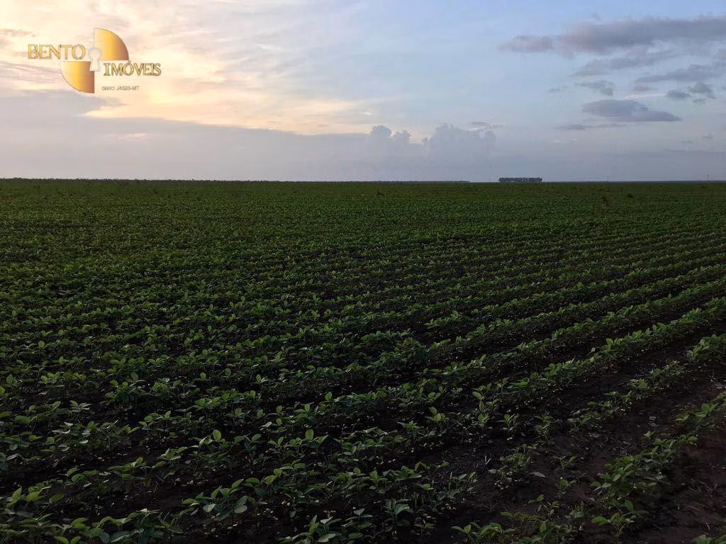 Fazenda de 1.800 ha em Balsas, MA