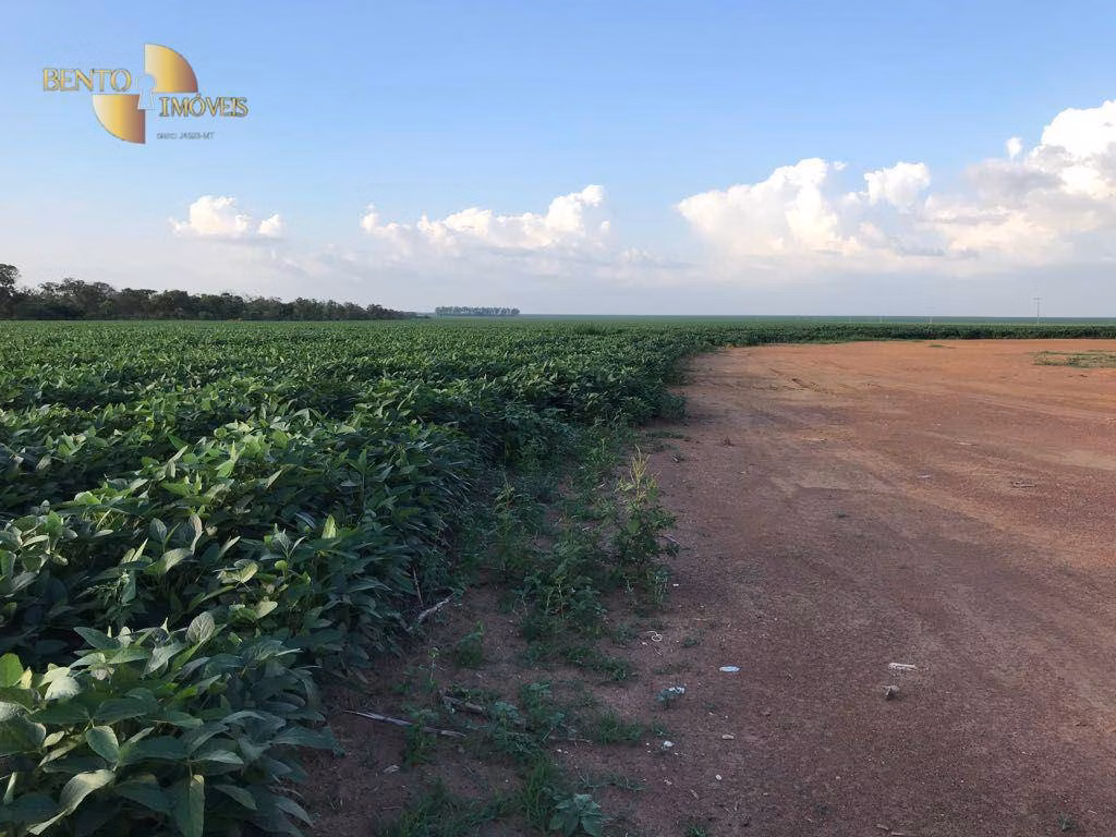 Fazenda de 1.800 ha em Balsas, MA