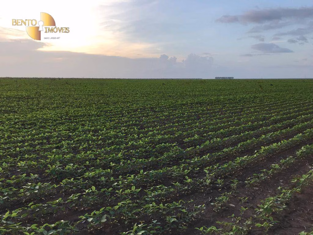 Fazenda de 1.800 ha em Balsas, MA