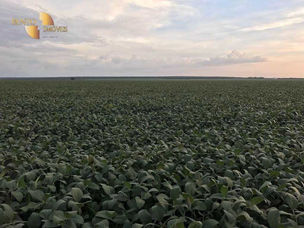 Fazenda de 1.800 ha em Balsas, MA