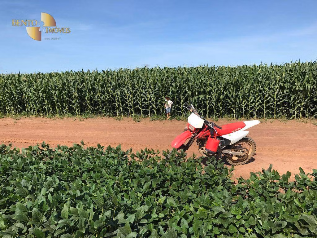 Fazenda de 1.800 ha em Balsas, MA