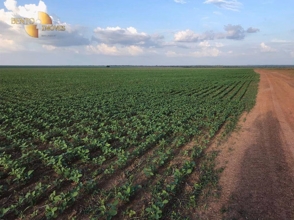 Fazenda de 1.800 ha em Balsas, MA