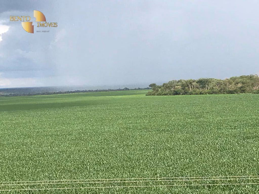 Fazenda de 1.800 ha em Balsas, MA