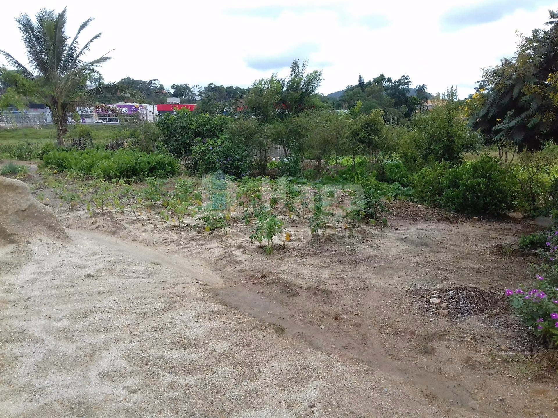 Casa de 3.192 m² em Brusque, SC