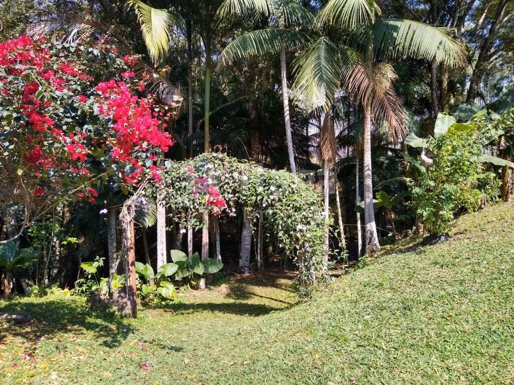 Farm of 8 acres in Camboriú, SC, Brazil