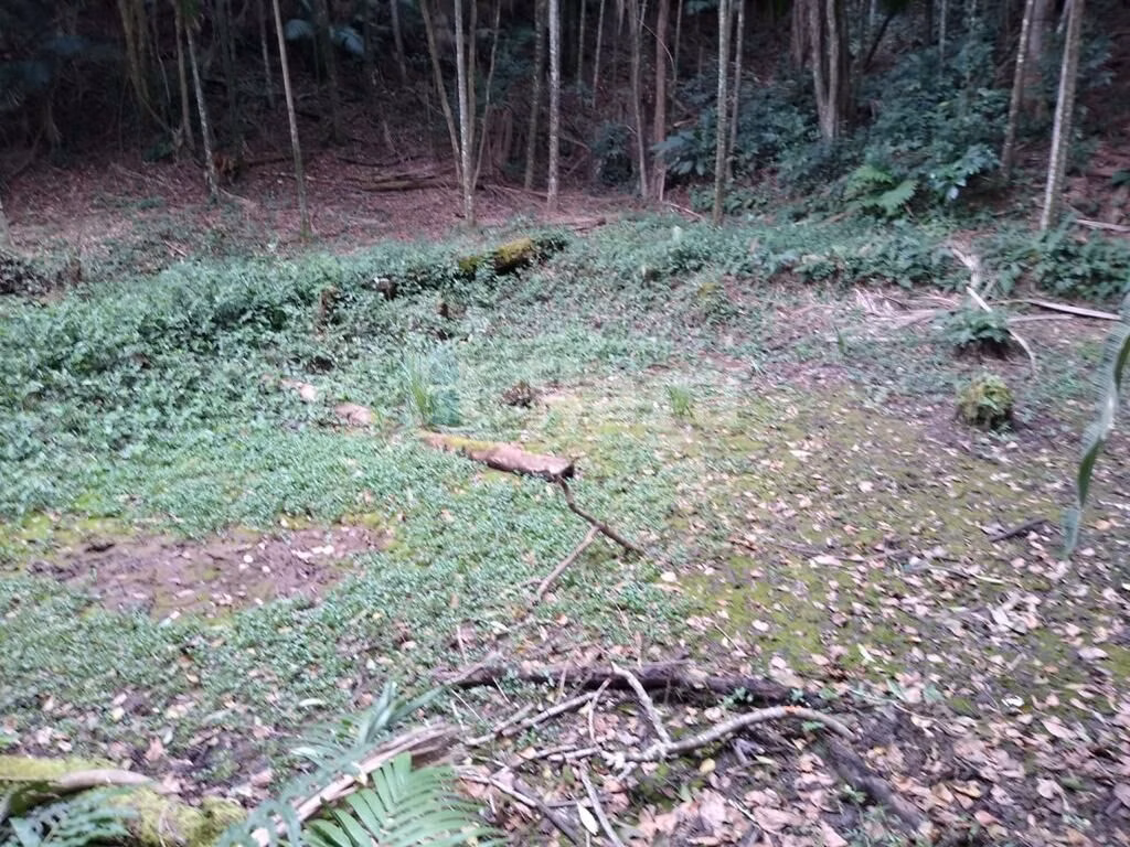 Farm of 8 acres in Camboriú, SC, Brazil