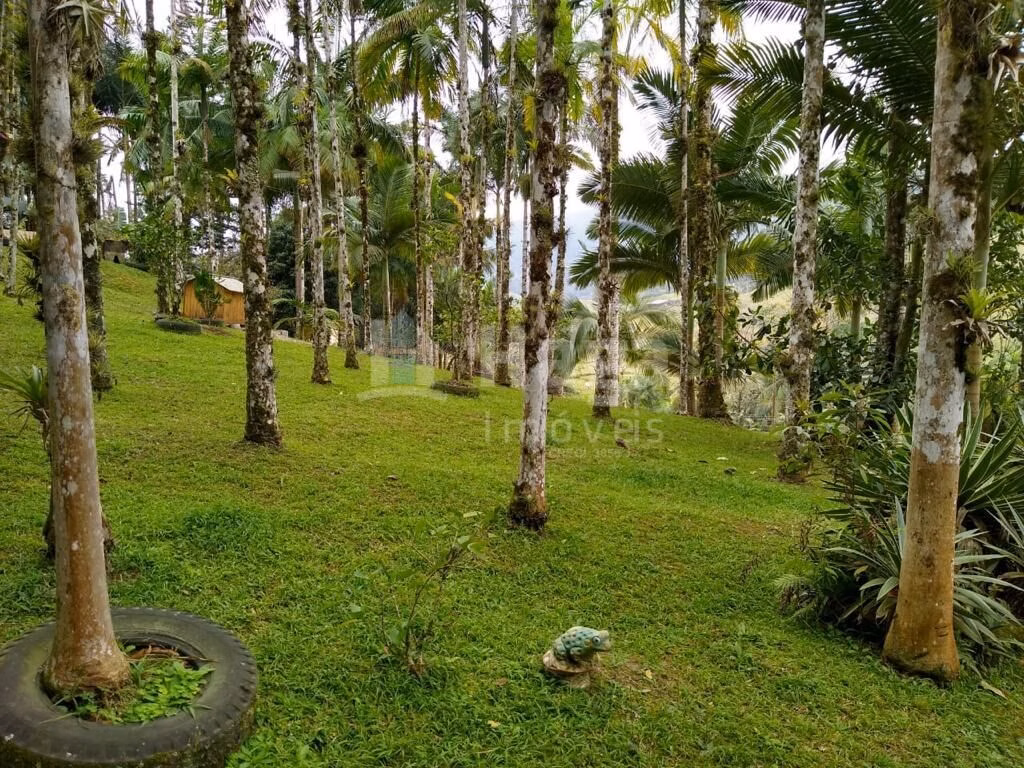 Farm of 8 acres in Camboriú, SC, Brazil