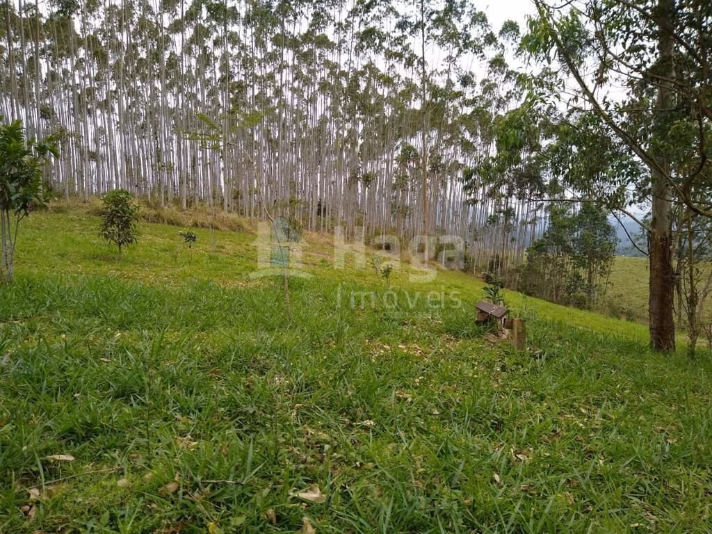 Farm of 8 acres in Camboriú, SC, Brazil
