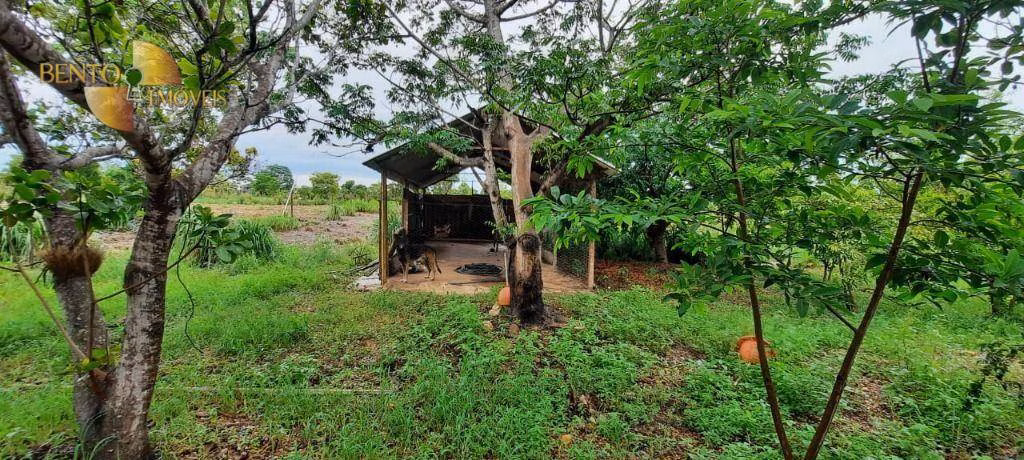 Chácara de 7 ha em Cuiabá, MT