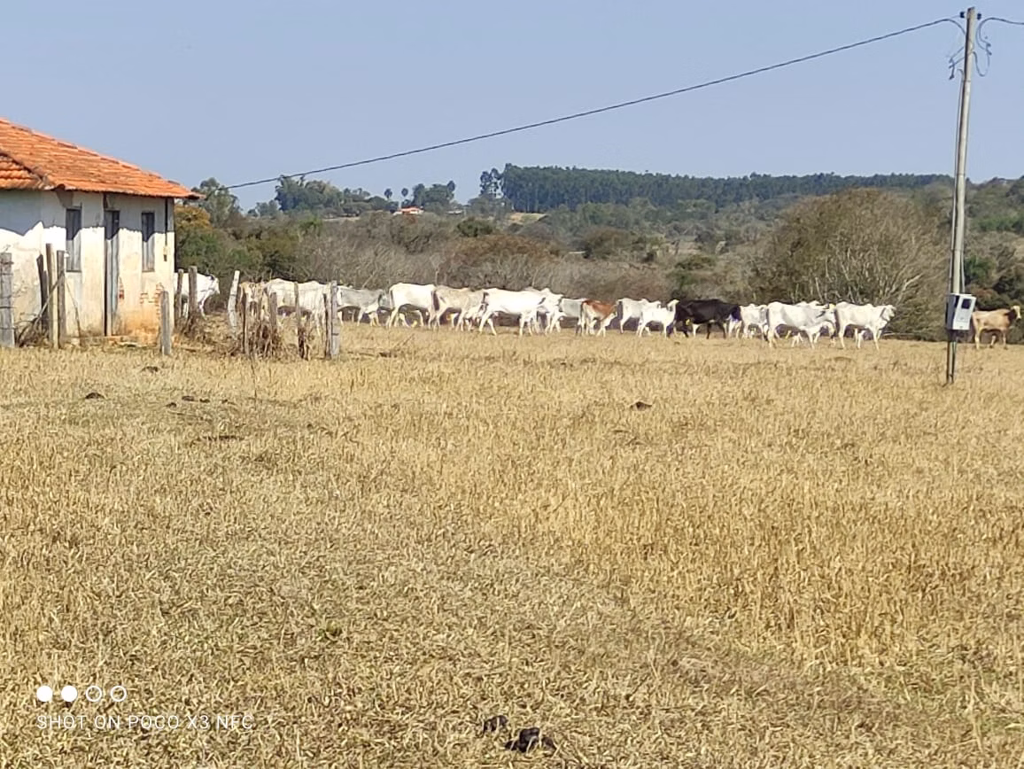 Sítio de 29 ha em Angatuba, SP