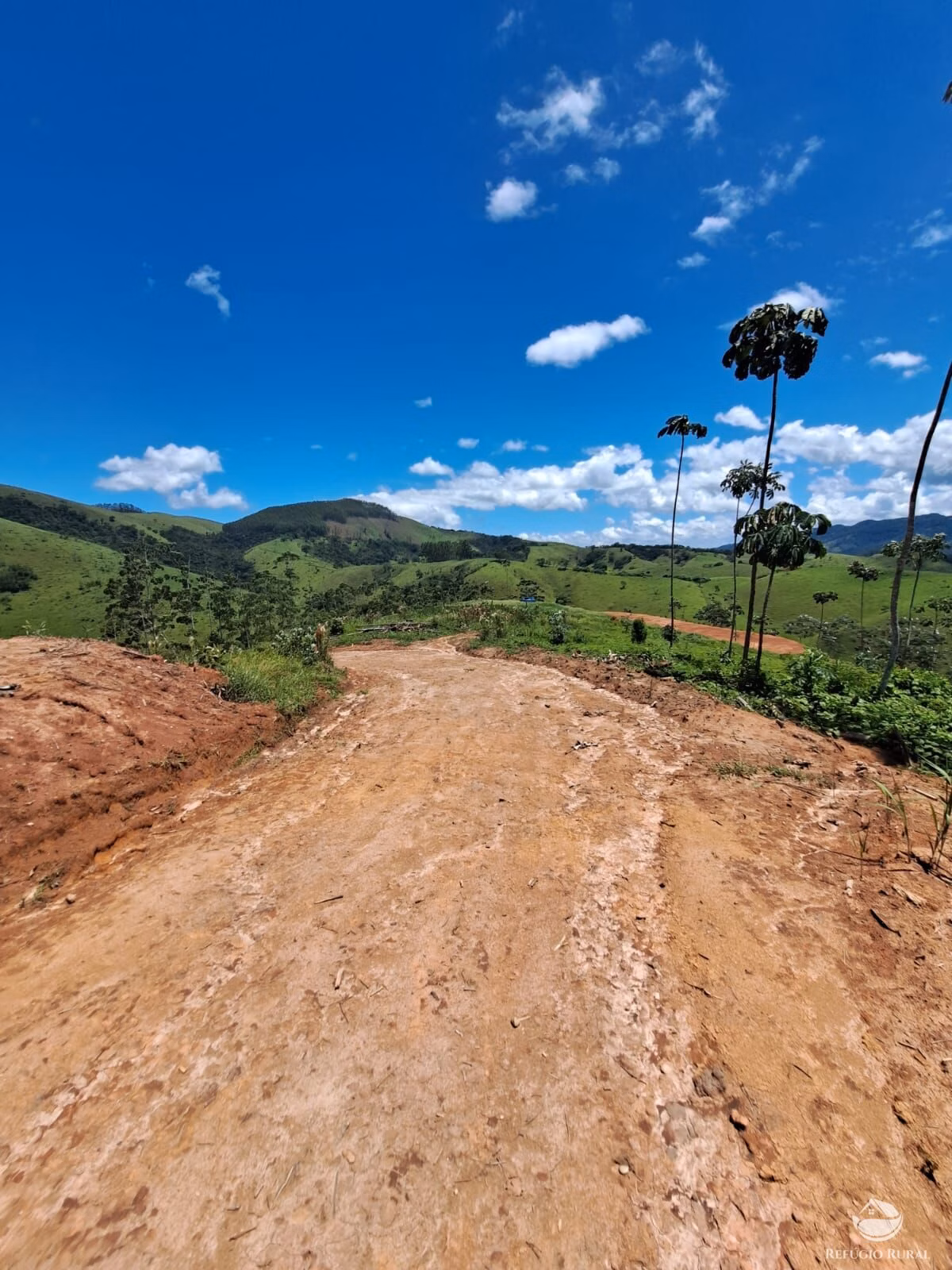 Terreno de 3 ha em Monteiro Lobato, SP