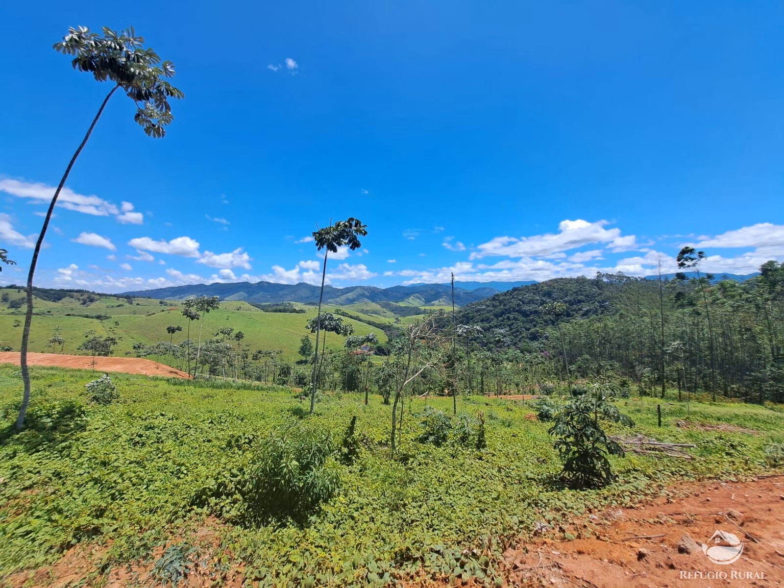 Terreno de 3 ha em Monteiro Lobato, SP