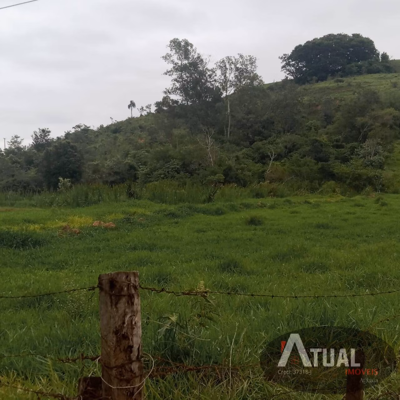 Small farm of 36 acres in Tatuí, SP, Brazil