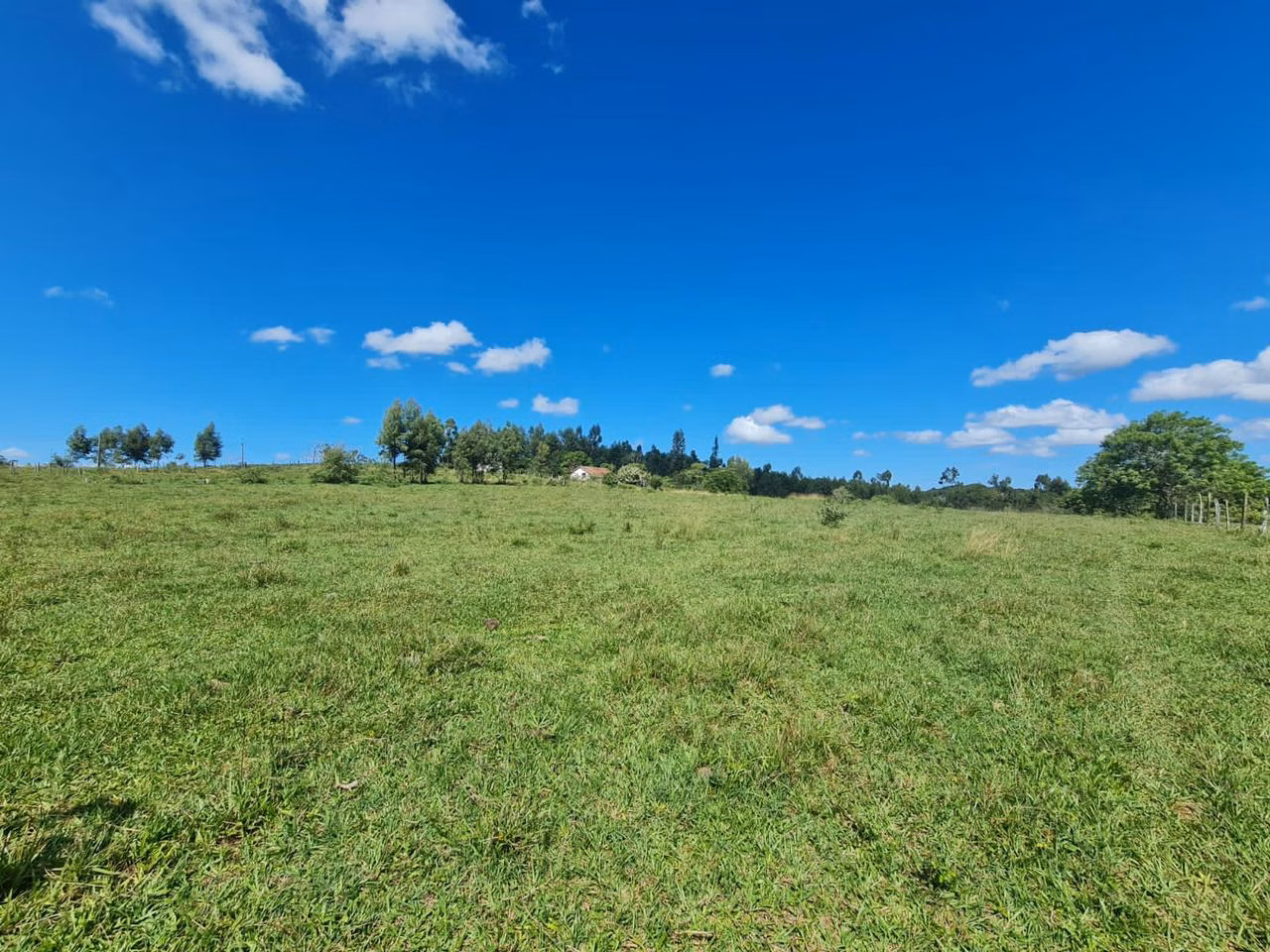 Fazenda de 125 ha em Araruama, RJ