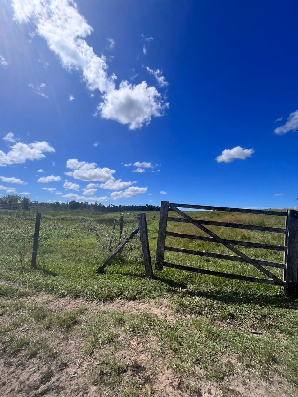 Fazenda de 125 ha em Araruama, RJ