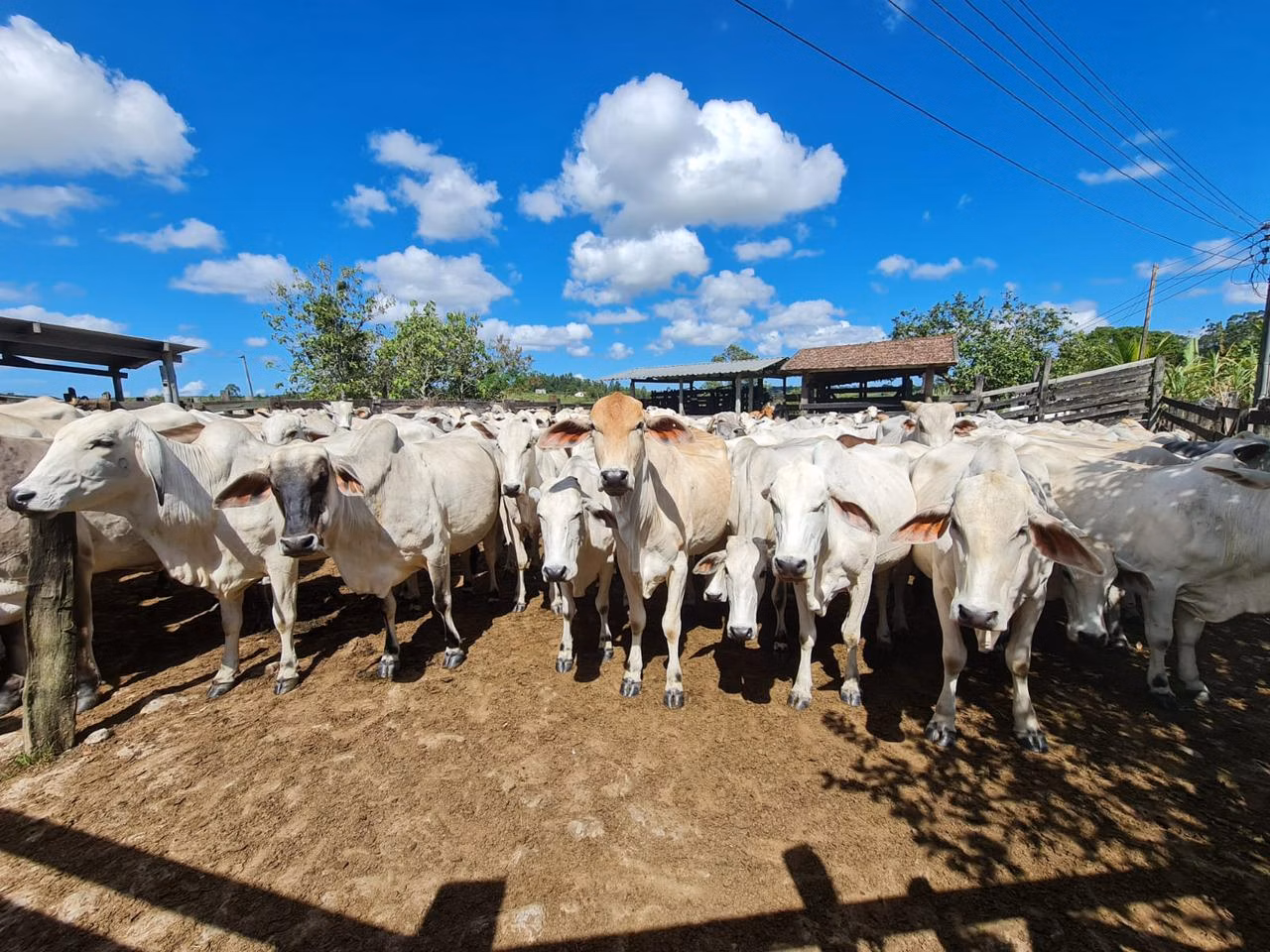 Fazenda de 125 ha em Araruama, RJ