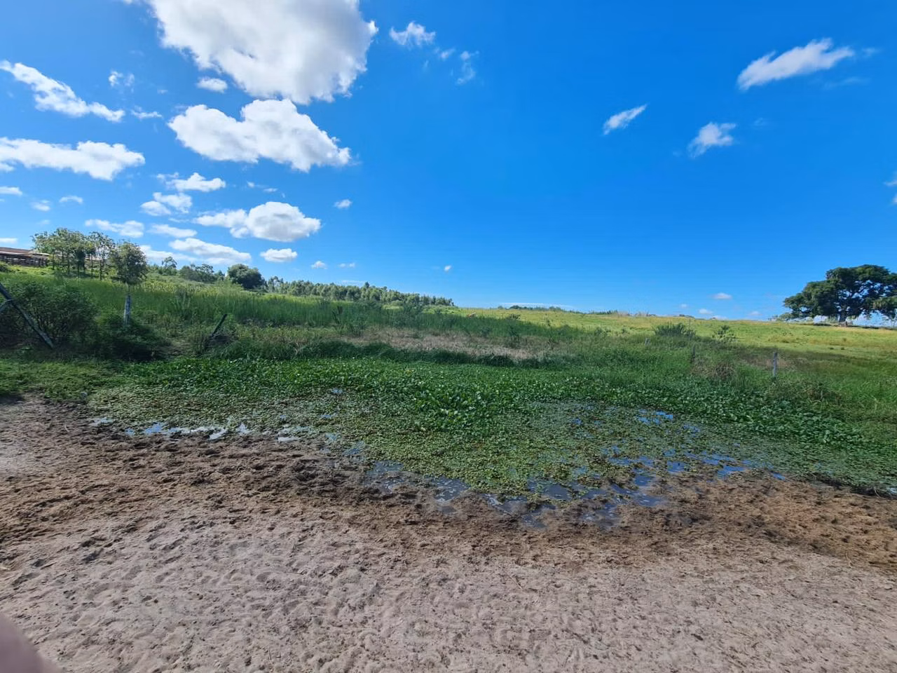 Fazenda de 125 ha em Araruama, RJ
