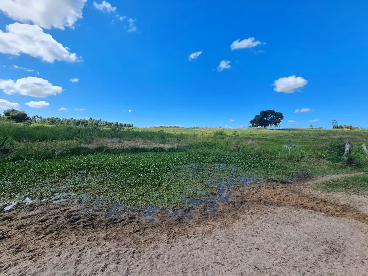 Fazenda de 125 ha em Araruama, RJ