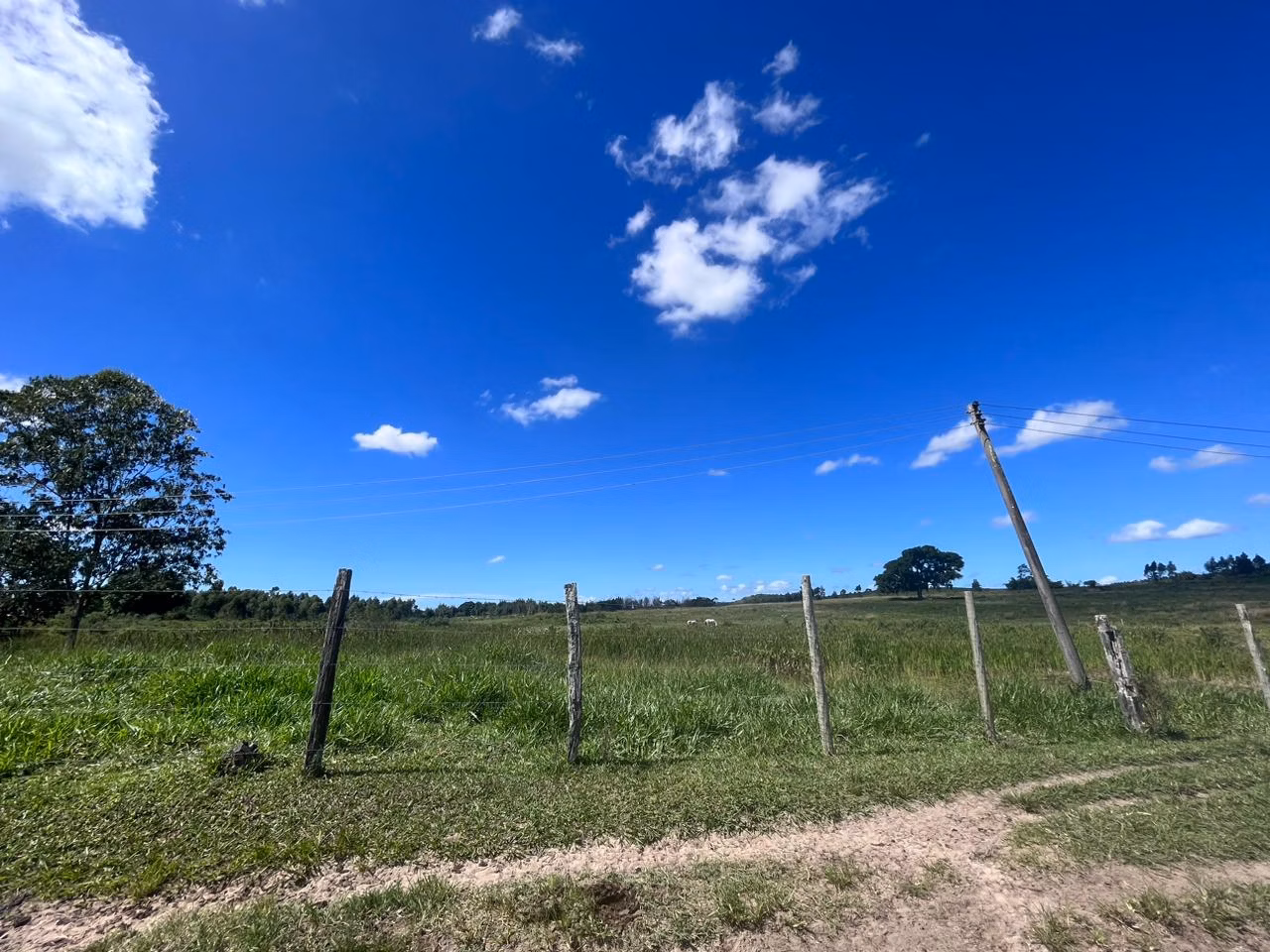 Fazenda de 125 ha em Araruama, RJ