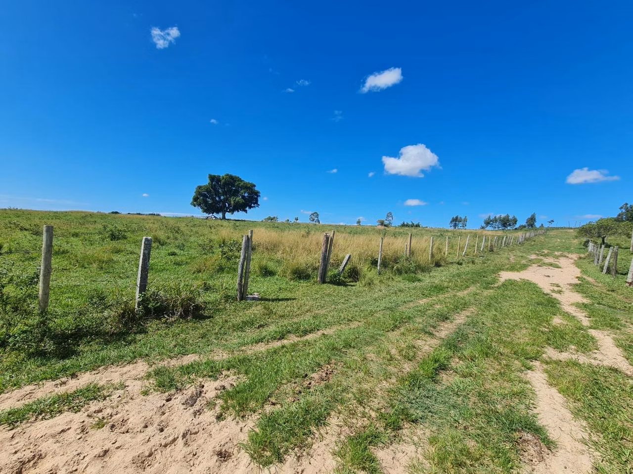 Fazenda de 125 ha em Araruama, RJ