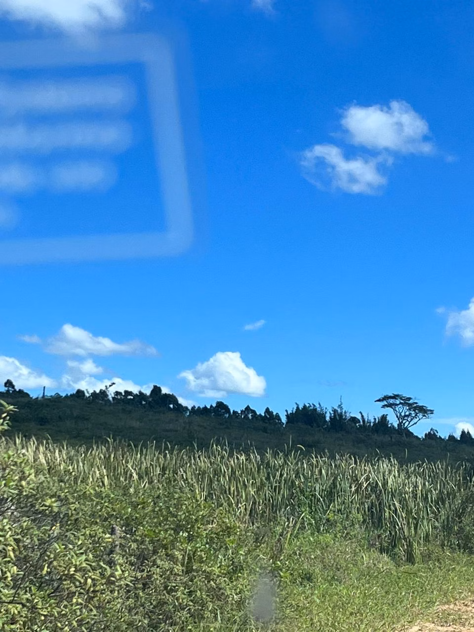 Fazenda de 125 ha em Araruama, RJ