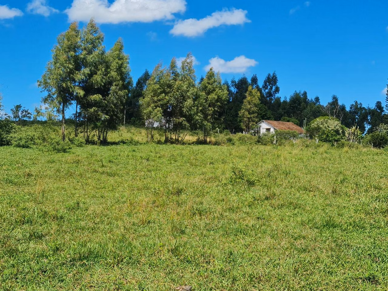 Fazenda de 125 ha em Araruama, RJ