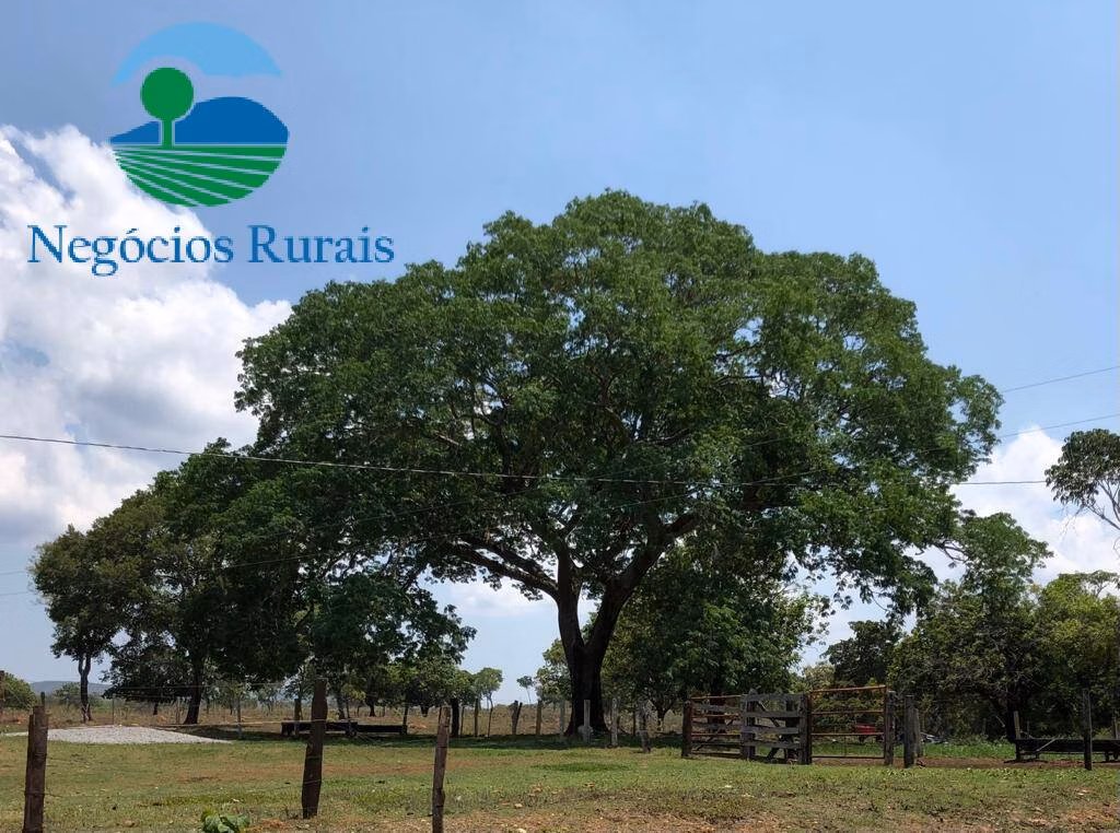 Fazenda de 396 ha em Uruaçu, GO