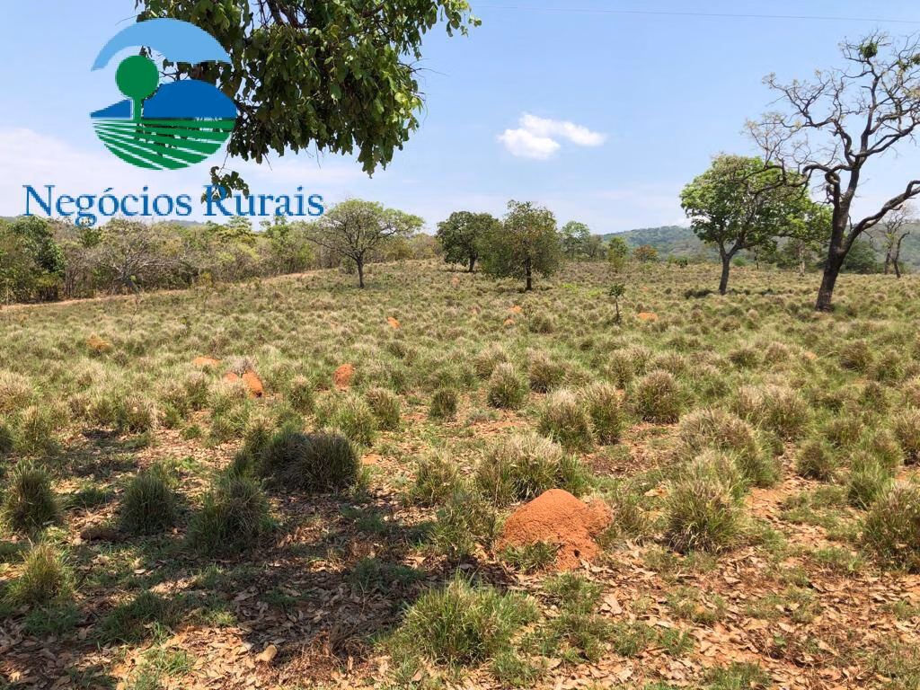 Fazenda de 396 ha em Uruaçu, GO