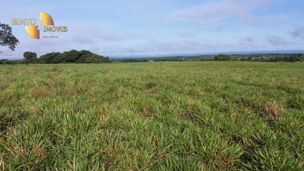 Fazenda de 370 ha em Acorizal, MT
