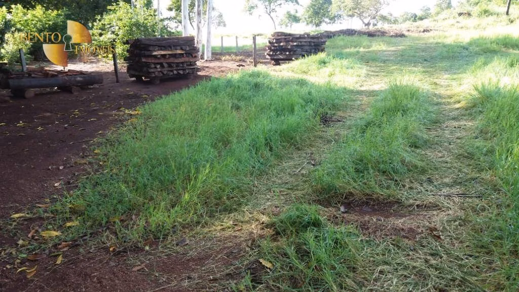Fazenda de 370 ha em Acorizal, MT