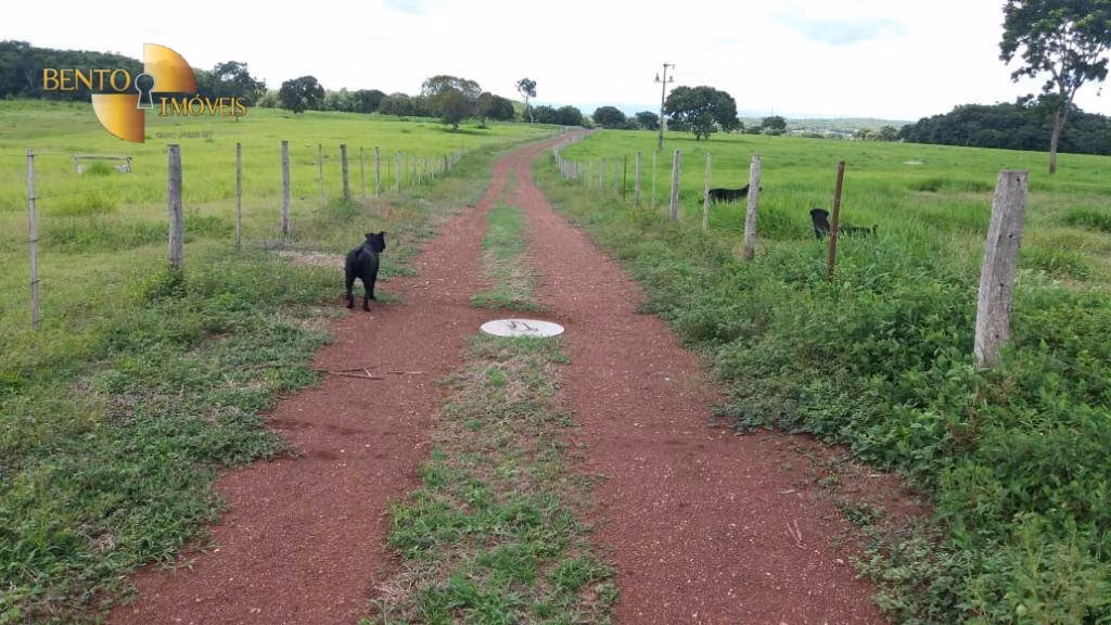 Fazenda de 370 ha em Acorizal, MT