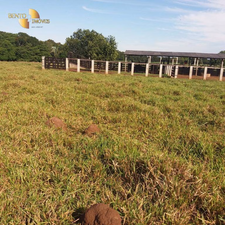Fazenda de 370 ha em Acorizal, MT