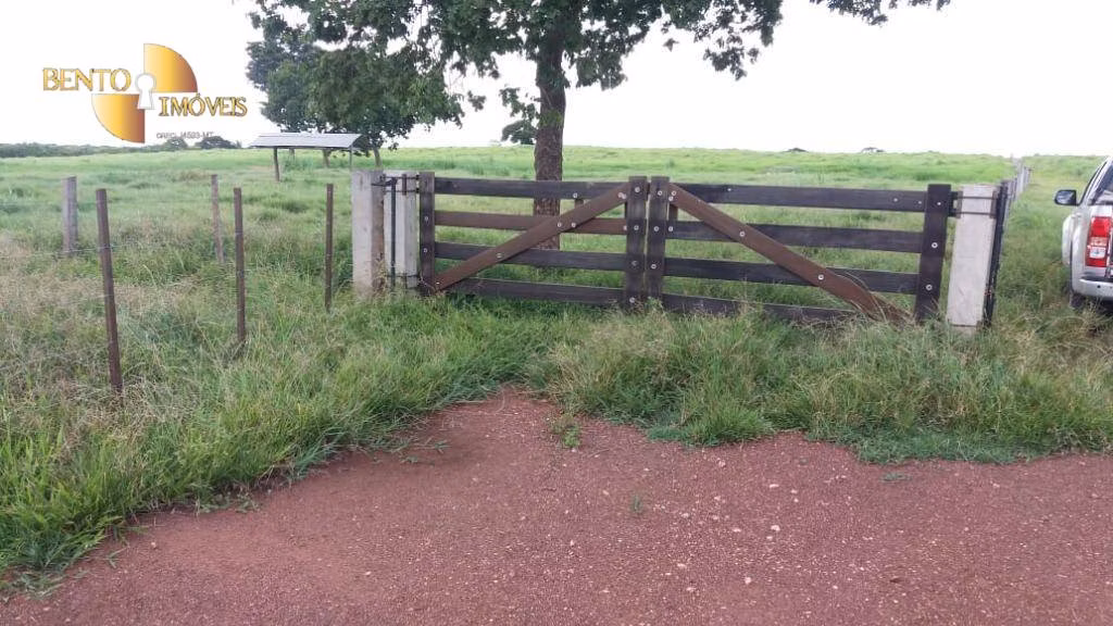 Fazenda de 370 ha em Acorizal, MT