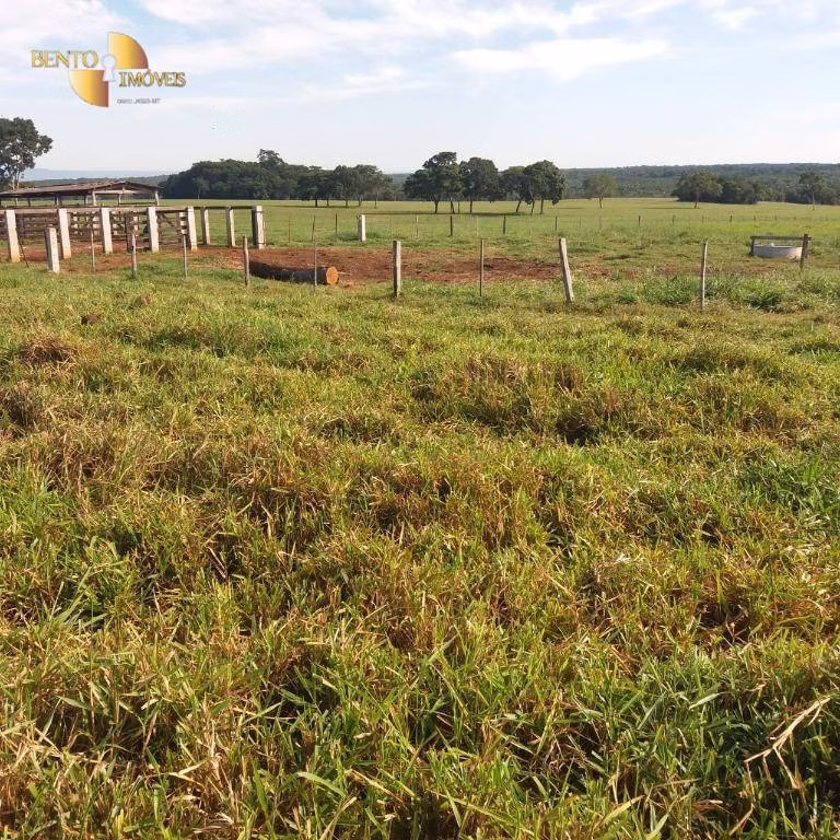 Fazenda de 370 ha em Acorizal, MT
