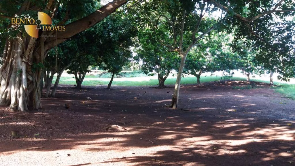 Fazenda de 370 ha em Acorizal, MT