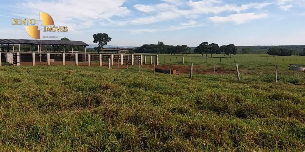 Fazenda de 370 ha em Acorizal, MT