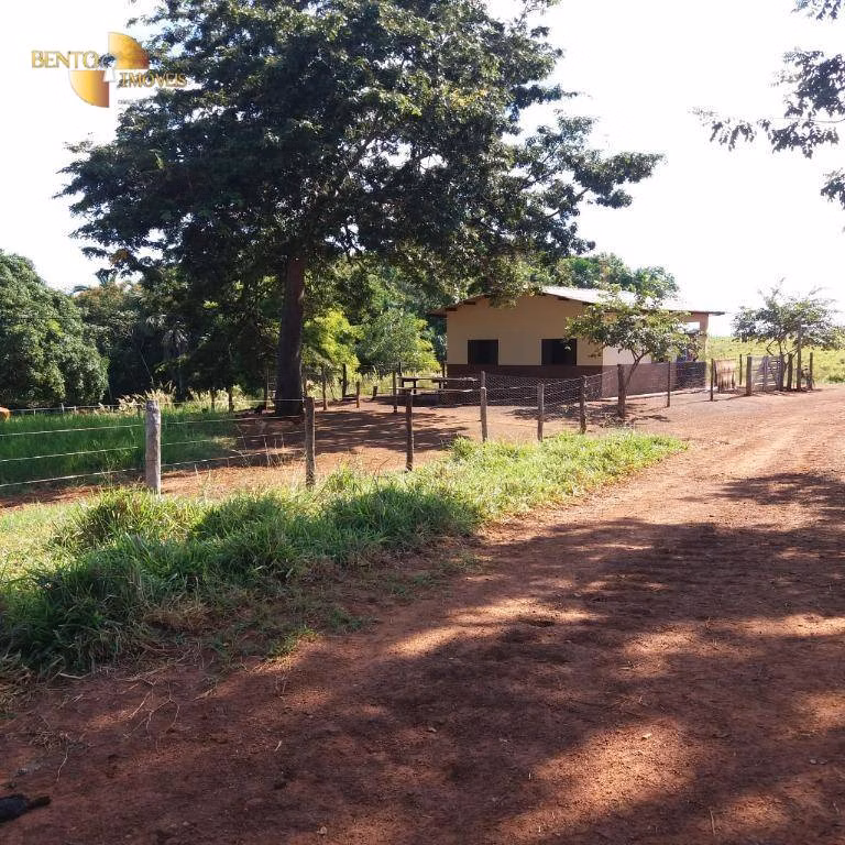 Fazenda de 370 ha em Acorizal, MT