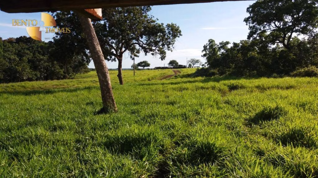 Fazenda de 370 ha em Acorizal, MT