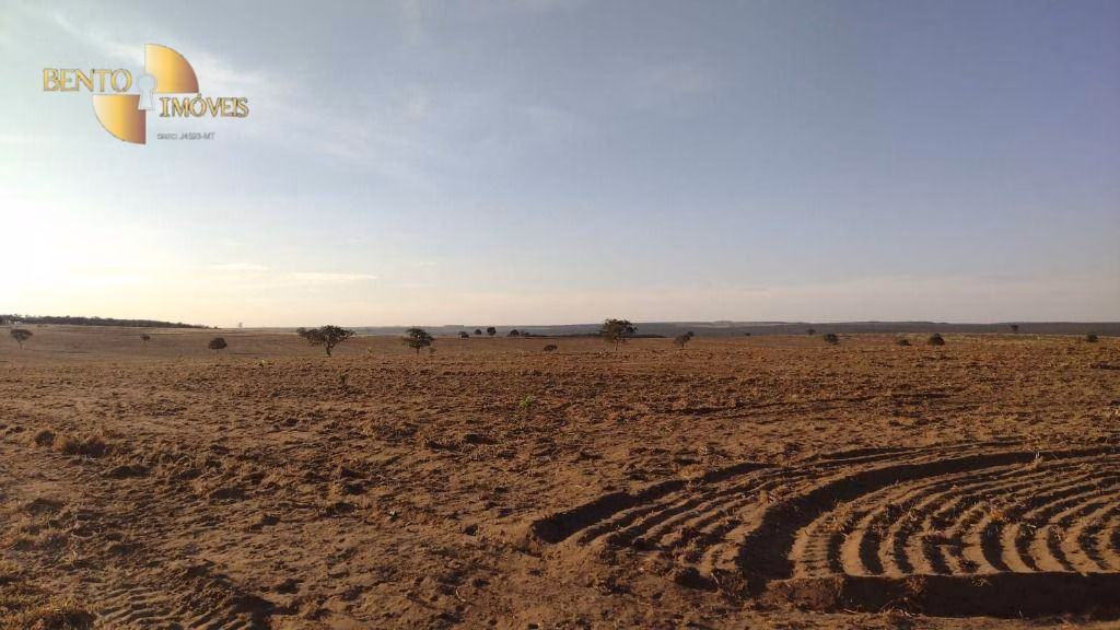 Fazenda de 1.158 ha em Primavera do Leste, MT